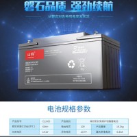 山特蓄電池12V100AH城堡C12-100鉛酸免維護(hù)